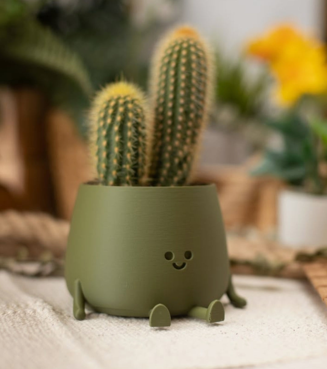 Planter pot