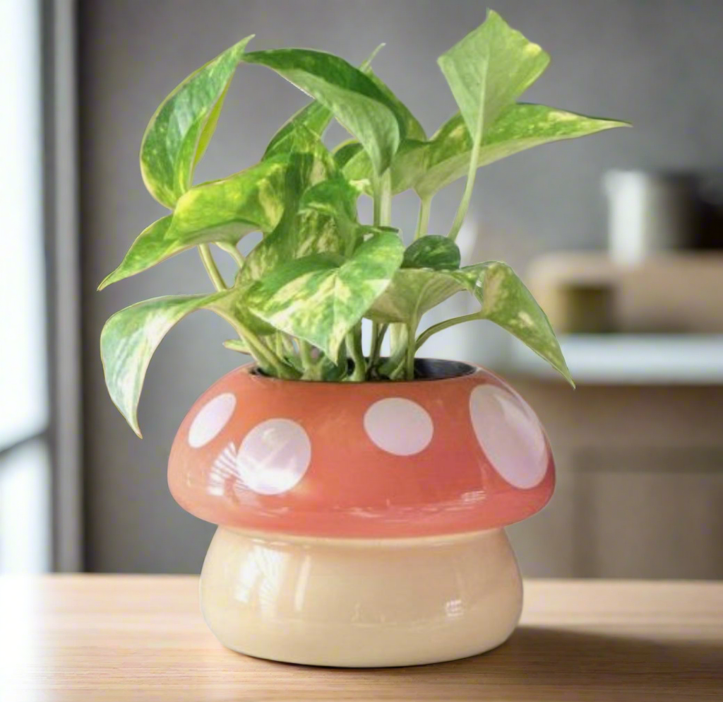 Mushroom shaped planter pot
