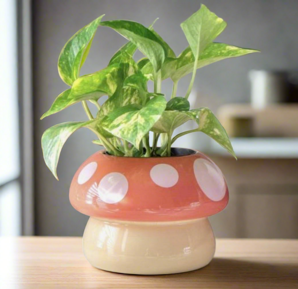 Mushroom shaped planter pot