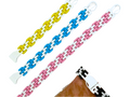 Chain Bracelet
