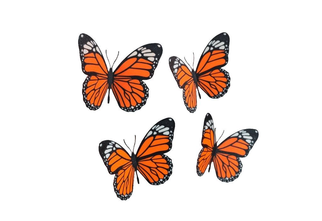 Butterfly fridge magnet