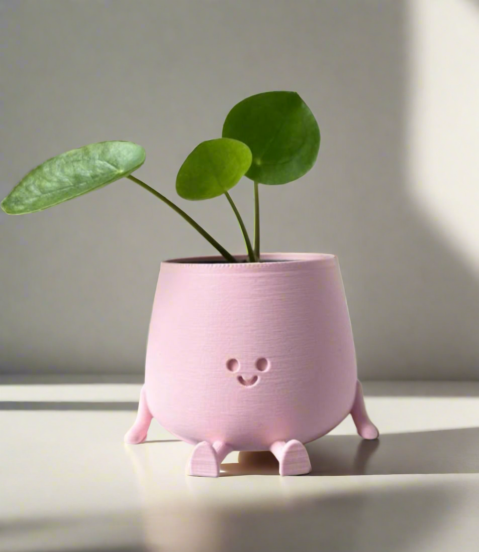 Planter pots